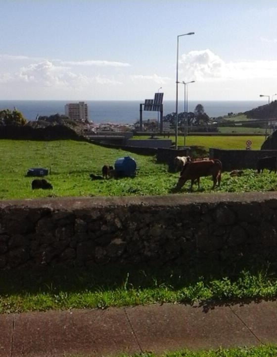 شقة Ocean View Flat Ponta Delgada المظهر الخارجي الصورة